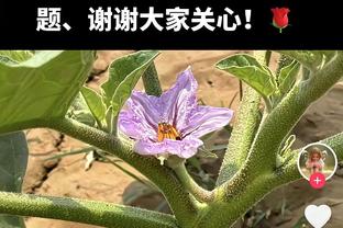 这是基石？斯科蒂-巴恩斯半场5投全铁 得分挂蛋仅得4板6助另4失误